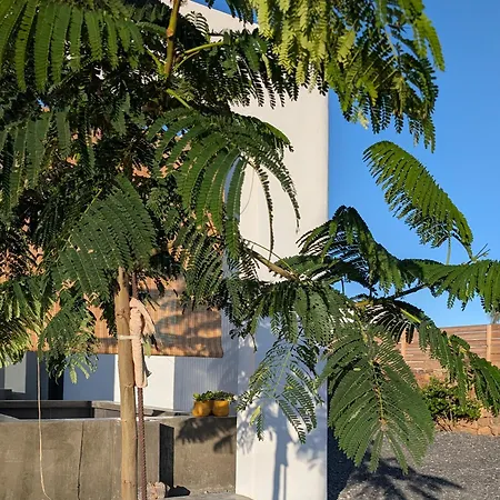 ヴィラ Simone - 5 - Piscine Chauffee *